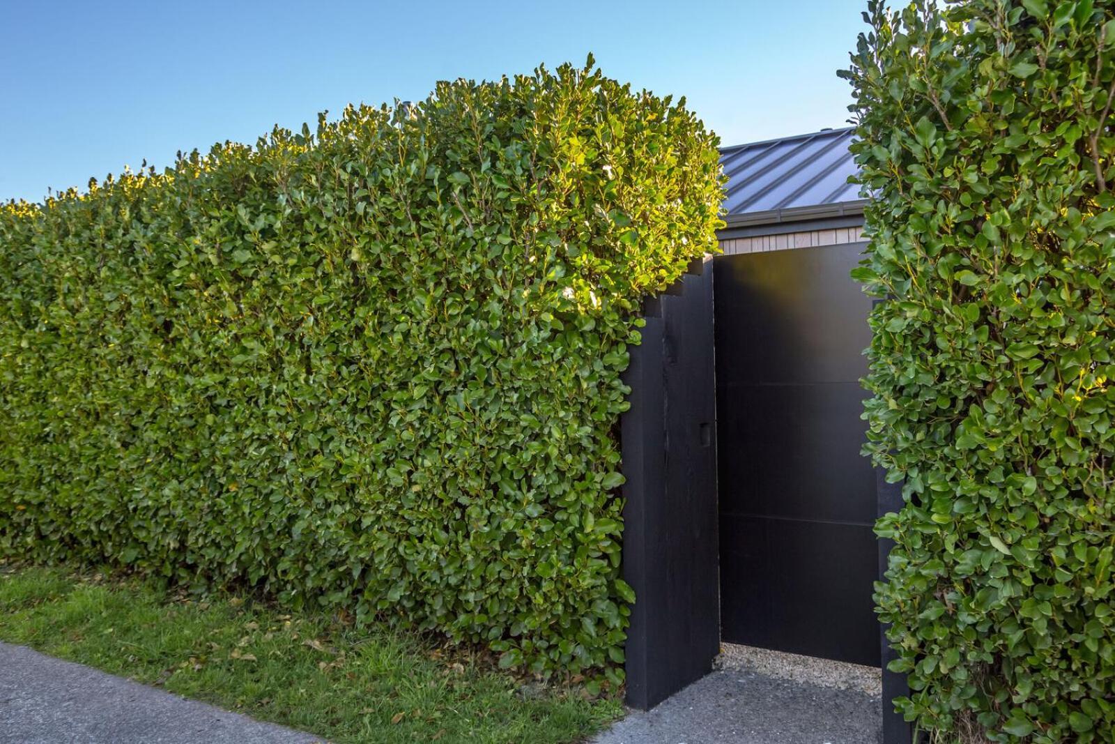 Holiday home Haratei Martinborough